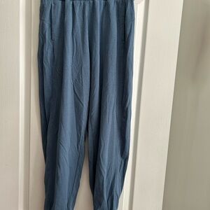 JoyLab Women's Blue Joggers
